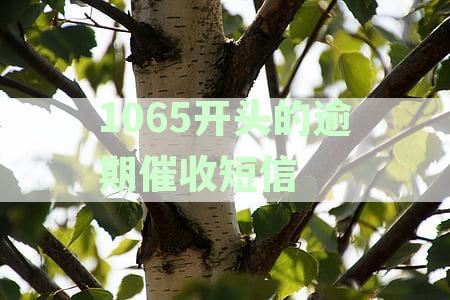'1065开头的逾期催收短信是真的吗：真实性解析及可能原因'