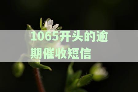 关于1065开头的逾期催收短信：上门催收、解决方案及如何应对？