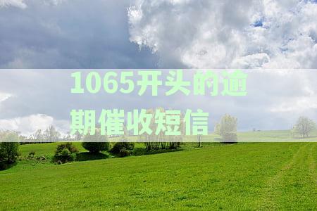 关于1065开头逾期催收短信的疑问解答：如何正确回复以避免误认为欠款？