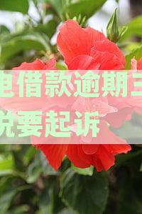 闪电借款逾期三年多，可能面临起诉风险，如何应对和解决？