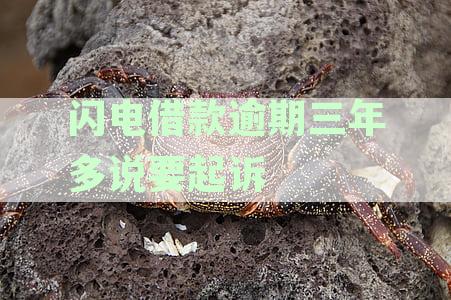 闪电借款逾期3年说起诉：真实案例分析与处理建议
