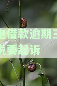闪电借款逾期三年多说要起诉