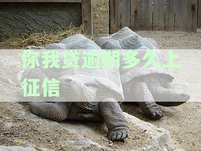 贷款逾期的征信影响及信用修复攻略——我爱卡解读