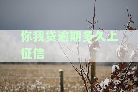 网贷逾期上征信的具体时间及影响，如何避免信用受损？