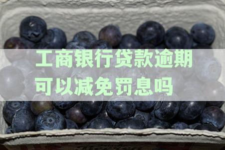 工行逾期协商减免：材料提交后多长时间审批？