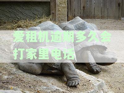 逾期未还款多久会被起诉？了解不同情况的法律后果与解决办法