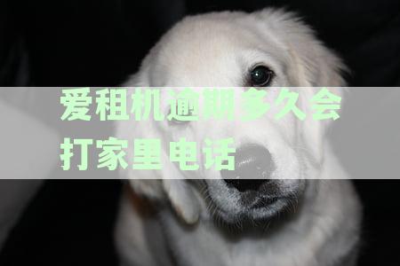 爱租机逾期多久会打家里电话