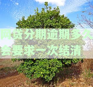 网贷分期逾期多久会要求一次结清