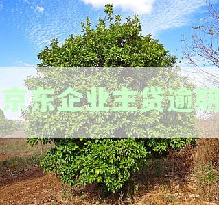 京东企业主贷逾期一天，征信受影响吗？如何解决？