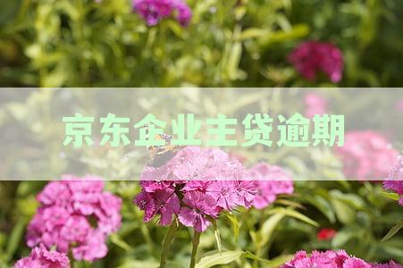 京东企业主贷逾期后，征信报告和通讯录会被上报几天？了解详细情况及影响