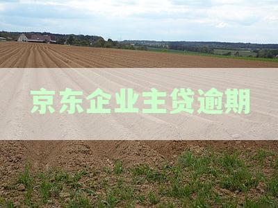 京东企业主贷逾期
