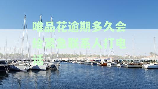 唯品会花逾期后催收函发放时间以及可能的后果全面解析