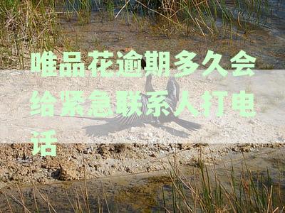 唯品花逾期会打电话给家人吗：逾期后的催收方式与时间