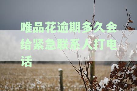 关于唯品花逾期还款，多久会联系通讯录中的联系人并进行电话催收？