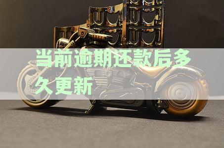 逾期还款后多久信用报告会被更新？详细解答与逾期记录处理相关问题
