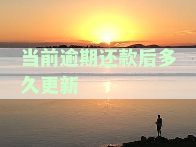 逾期后多久还清网贷信用记录能够更新？结清信用卡还款后多久征信更新？