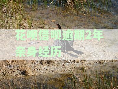 支付宝花呗借呗逾期长达两年，累计欠款高达两万元，是否会面临法律诉讼？
