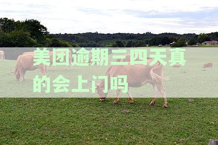 美团逾期三四天会上门催收吗？用户真实经验分享与解答