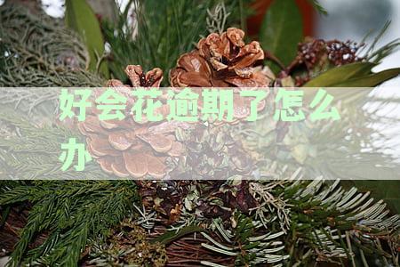逾期还款对您的信用评价及财务状况的影响与解决方法科普
