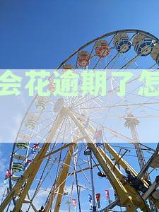 好会花逾期了怎么办