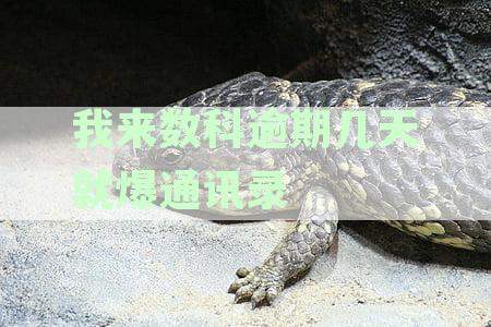 逾期后通讯录泄露的时间节点及预防措：全面解析与建议