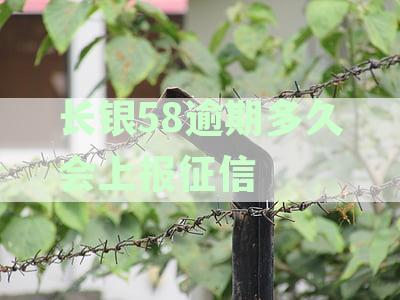 长银58逾期还款对征信记录的影响及上报时间全面解析
