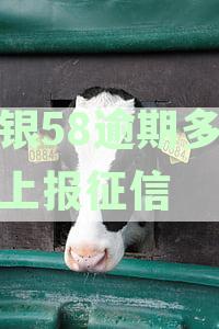 长银58逾期多久会上报征信