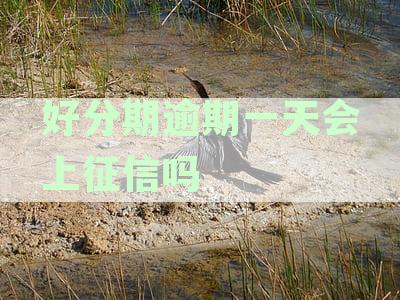 逾期一天会上征信吗会影响信用吗：关于逾期一天对征用的影响。