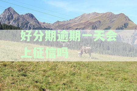 一天的逾期还款是否会影响个人征信记录？
