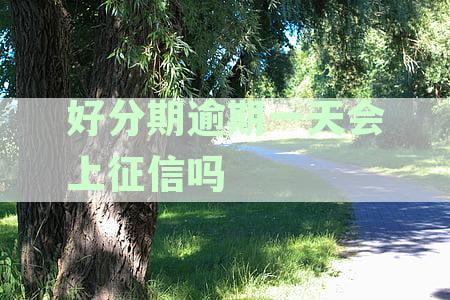 逾期一天还款对信用记录的影响及相关解决办法