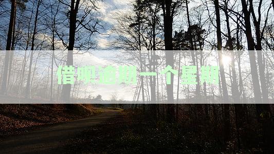 借呗逾期一周后果及处理方法：用户全方位指南