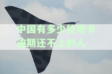 中国信用卡逾期人数统计：有多少人仍未偿还？