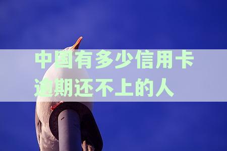2020年中国信用卡逾期人数统计：揭示这一现象的全国情况与金额数据