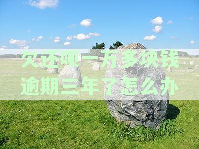 欠还呗一万多块钱逾期三年了怎么办理？