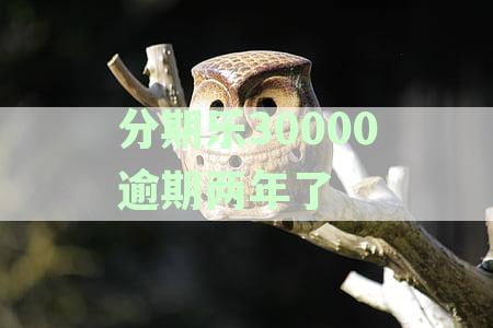 分期乐借了30000,逾期四年了，怎么办？