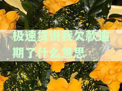 关于收到疑似极速贷款电话的疑问及解决办法