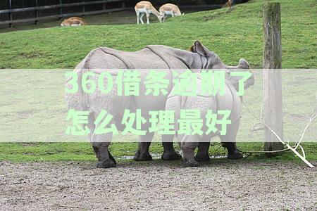 360公司起诉我：我应该如何应对？- 提供解决方案和应对策略