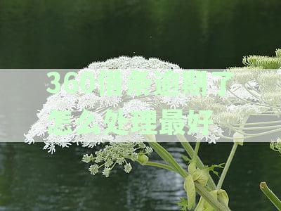 逾期还款如何处理？逾期后第一时间应该采取哪些措？