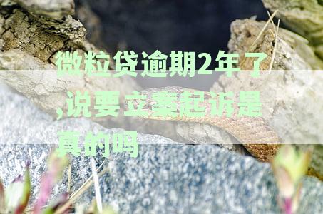 微粒贷逾期2年，立案起诉真的吗？
