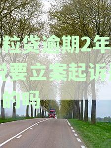 逾期2年未还款的微粒贷是否真的会被立案起诉？