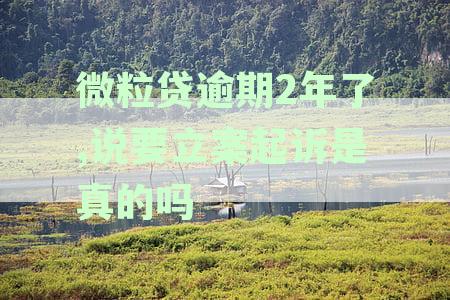 微粒贷逾期两年未还款，我该如何解决？逾期后果及应对策略全面解析
