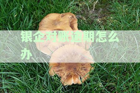 银企对账的影响及其解决方案：了解潜在问题并采取相应措