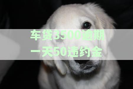 车贷逾期一天扣320的违约金：合理性与合法性的探讨