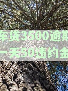 车贷逾期一天罚息300:了解逾期还款的严重性、计算方法及应对措