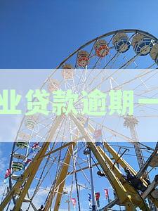 信贷逾期一天对企业征信记录的影响及消除方法探讨