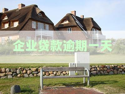 企业贷款逾期一天会怎么样：处理方式及征信影响全解析