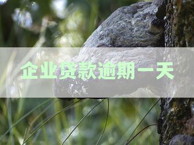 新企业贷款逾期一天的处理方法及后果分析