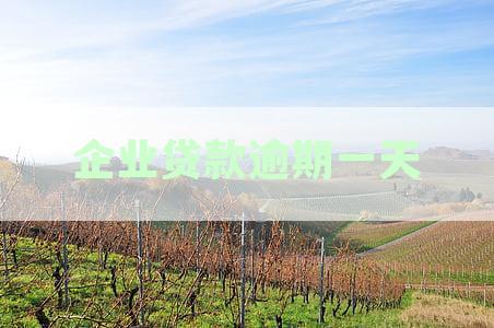 企业贷款逾期一天