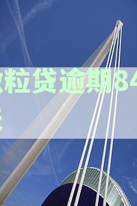 微粒贷逾期超过180天：理解潜在后果与解决策略
