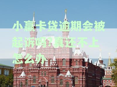 小赢卡贷逾期未还：可能面临的法律诉讼与报案后果，如何解决？